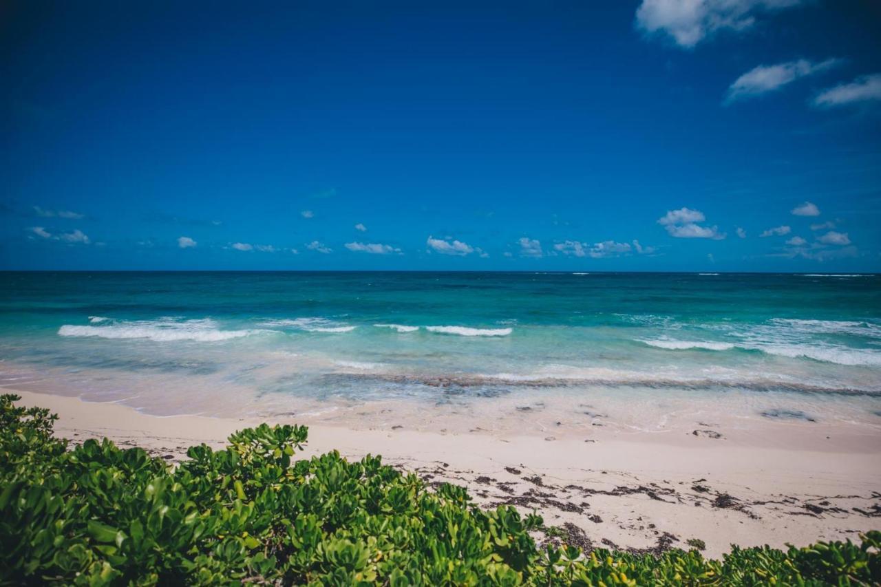 Pink Sand Cottage Cottage North Palmetto Point Εξωτερικό φωτογραφία