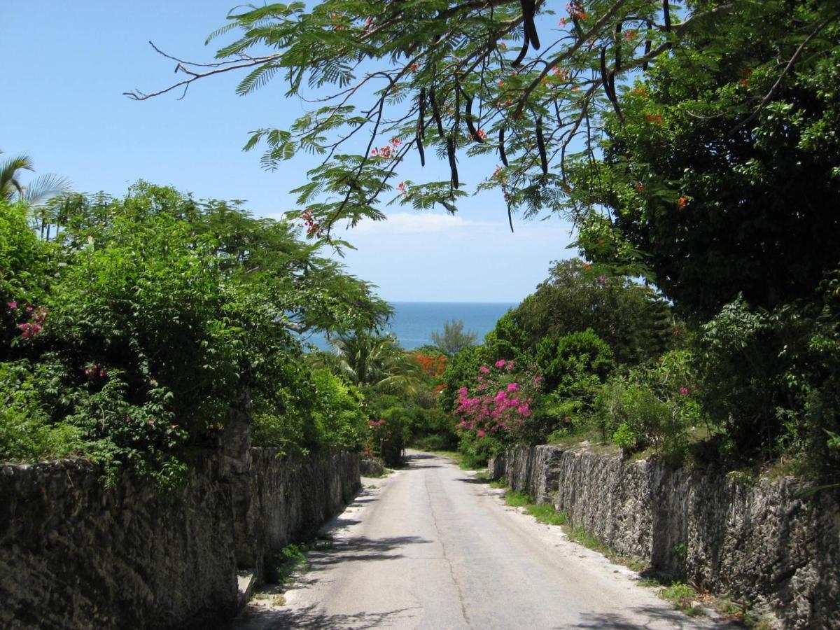 Pink Sand Cottage Cottage North Palmetto Point Εξωτερικό φωτογραφία